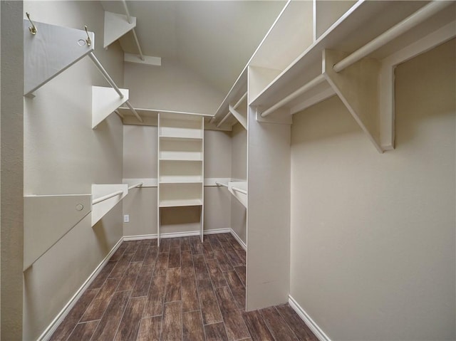 walk in closet featuring wood finish floors