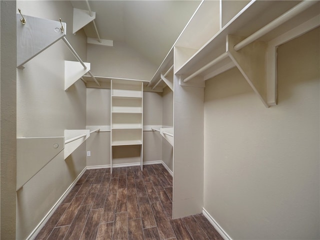 spacious closet featuring wood finished floors