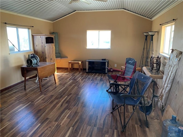 office with a wealth of natural light, crown molding, dark wood-type flooring, and lofted ceiling