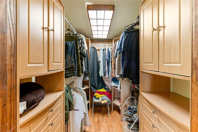 spacious closet featuring light wood-type flooring