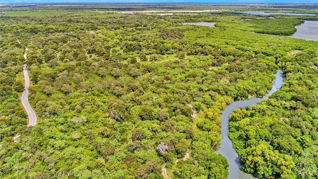 22150 County Rd 1718, Mathis, TX 78368 - photo 39