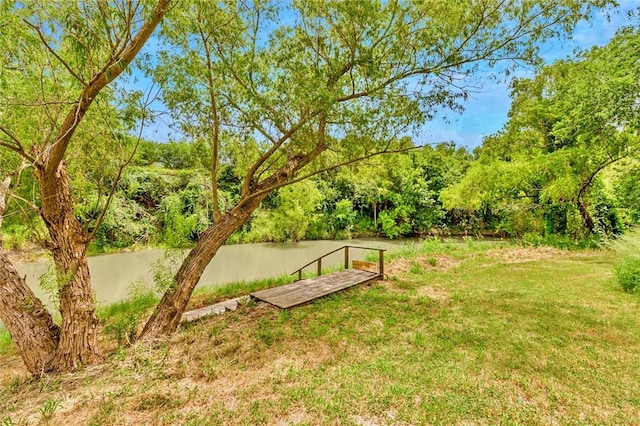 view of property's community featuring a dock and a water view