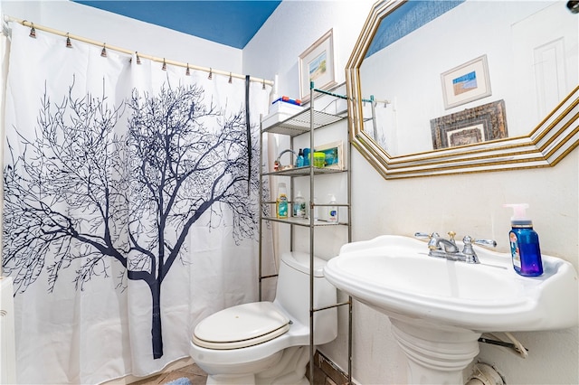 bathroom with toilet and sink