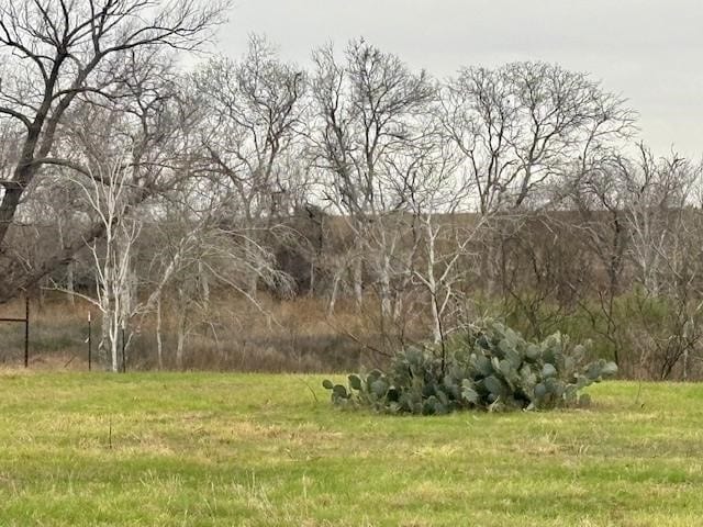 105 Voglesang, George West, TX 78022 - photo 21