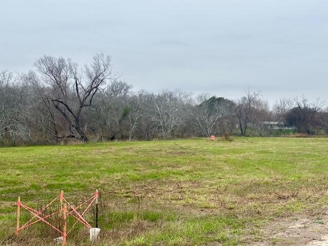 105 Voglesang, George West, TX 78022 - photo 2