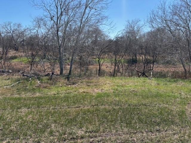 105 Voglesang, George West, TX 78022 - photo 16