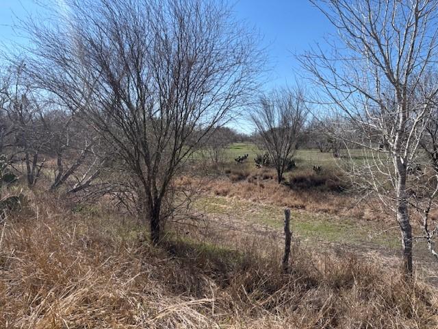 105 Voglesang, George West, TX 78022 - photo 6