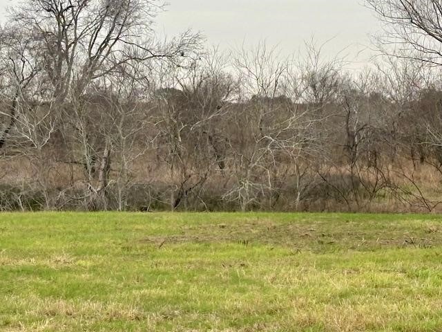 105 Voglesang, George West, TX 78022 - photo 20