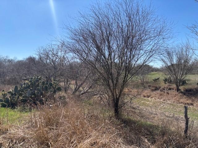 105 Voglesang, George West, TX 78022 - photo 7
