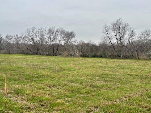 105 Voglesang, George West, TX 78022 - photo 8