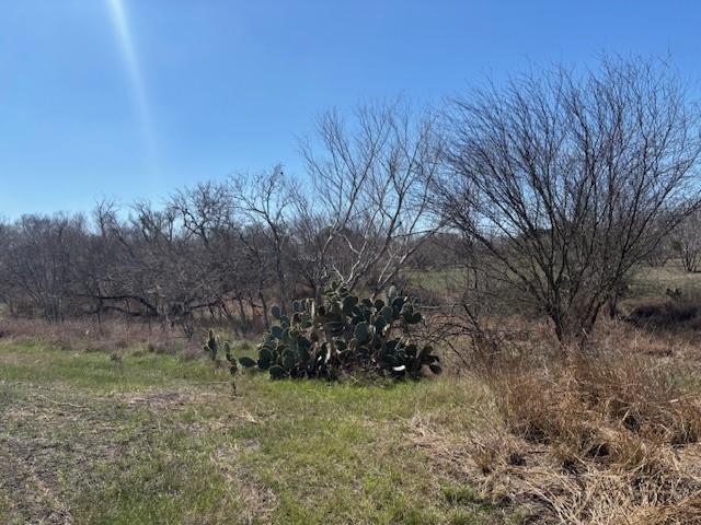 105 Voglesang, George West, TX 78022 - photo 9