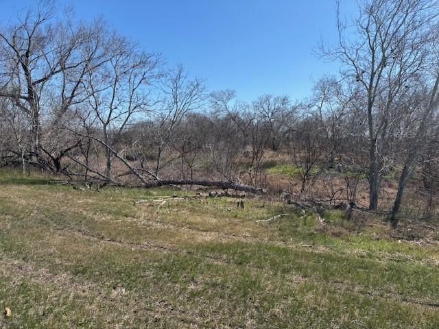 105 Voglesang, George West, TX 78022 - photo 17