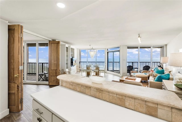 living room with expansive windows, a healthy amount of sunlight, and light hardwood / wood-style flooring