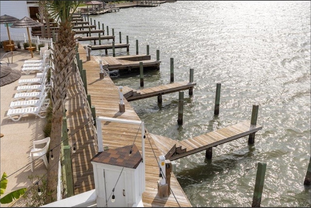 dock area with a water view