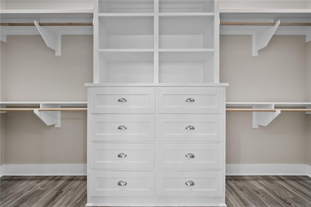 spacious closet featuring dark wood-type flooring