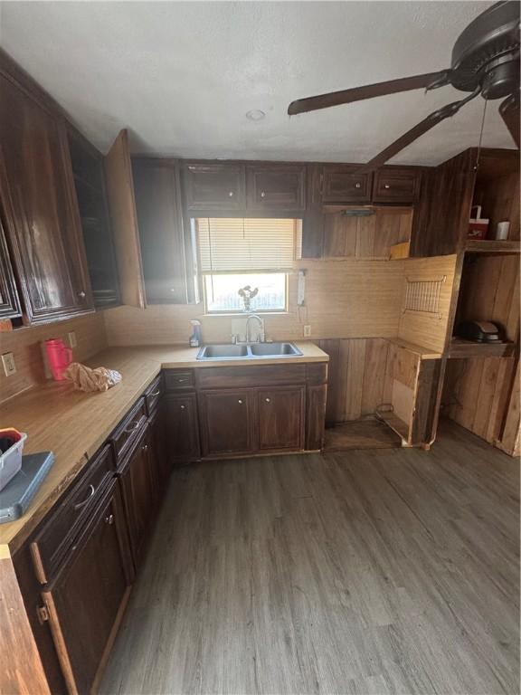 kitchen featuring ceiling fan, dark brown cabinetry, a sink, light countertops, and dark wood-style floors