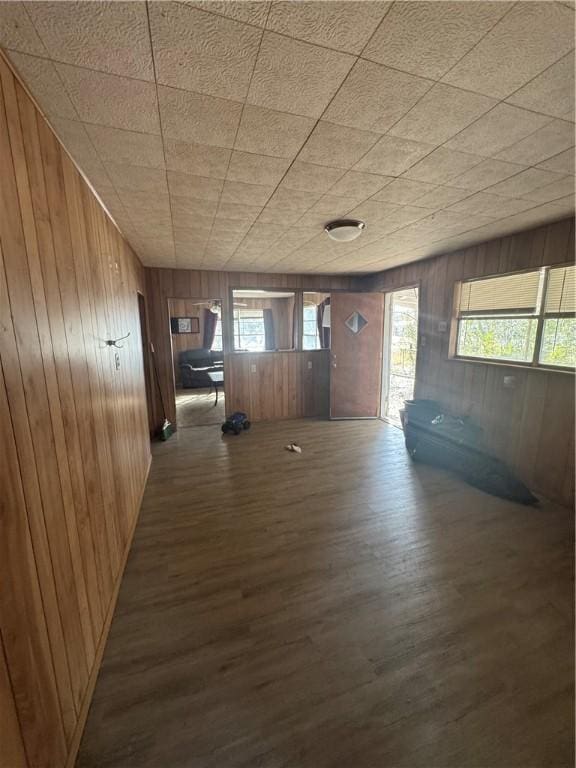 entryway featuring wooden walls and wood finished floors