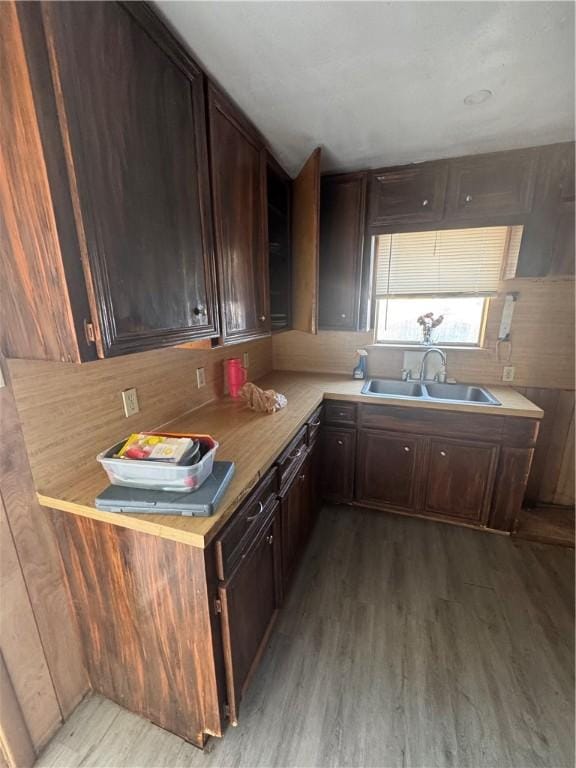 kitchen featuring dark brown cabinets, light wood finished floors, a sink, and light countertops