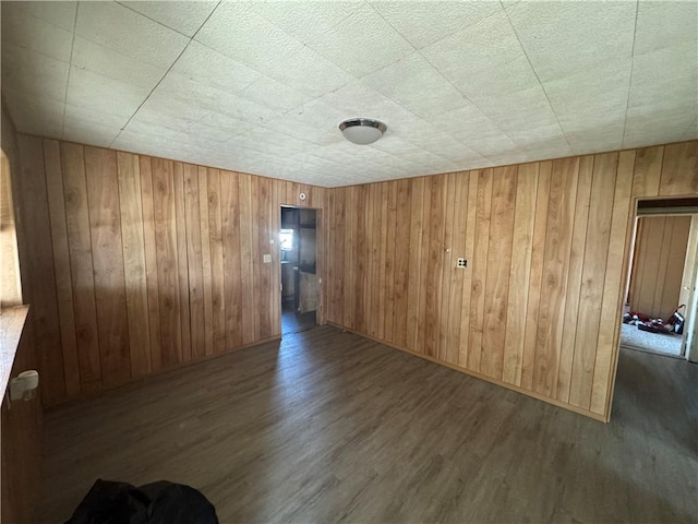 empty room featuring wood walls and wood finished floors