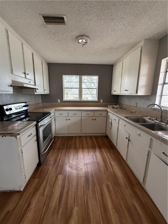 kitchen with stainless steel range with electric stovetop, a sink, under cabinet range hood, and wood finished floors