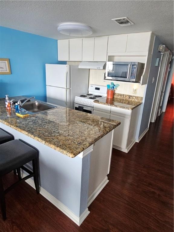 15425 Fortuna Bay Dr Unit 314, Corpus Christi, TX 78418 - kitchen with white appliances, under cabinet range hood, a sink, dark wood-type flooring, and a textured ceiling