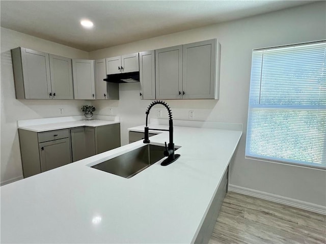 kitchen featuring a sink, light wood finished floors, gray cabinets, and baseboards