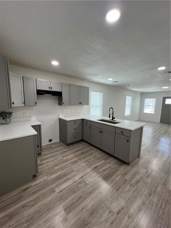 kitchen featuring open floor plan, a peninsula, gray cabinetry, light wood-style floors, and a sink