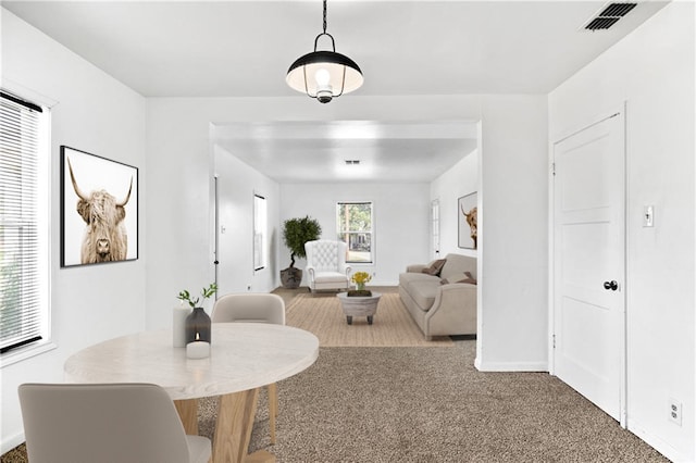 dining room featuring carpet flooring