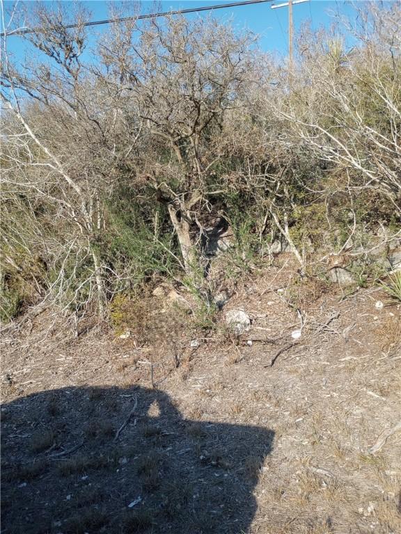 000 Fm 3024th Cir, Mathis, TX 78368 - photo 28