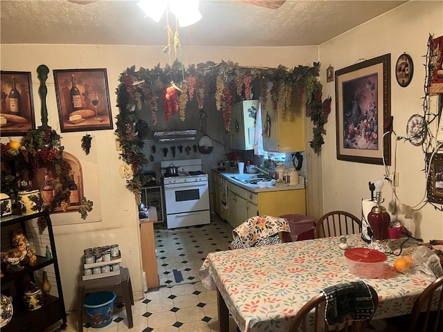 kitchen featuring a textured ceiling, ventilation hood, white gas stove, and sink