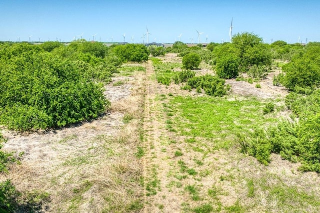 view of nature