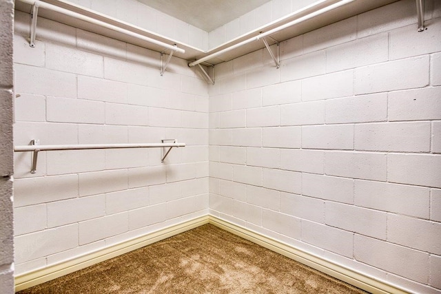 spacious closet with carpet