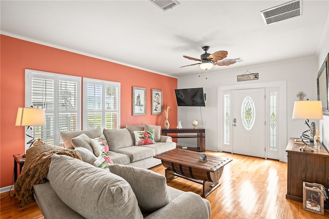 living area featuring crown molding, ceiling fan, visible vents, and light wood-style floors