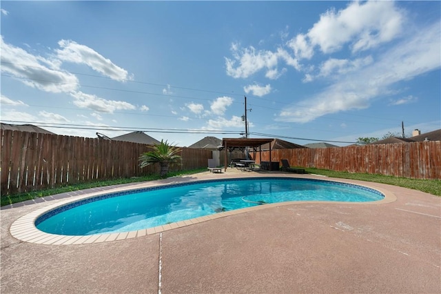 view of pool with a patio