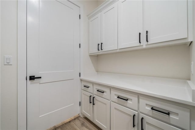 laundry area with light hardwood / wood-style floors