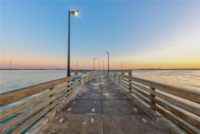 dock area with a water view