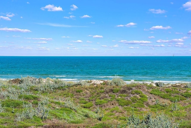 view of water feature with a beach view