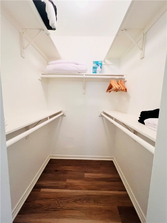 walk in closet featuring dark wood-type flooring