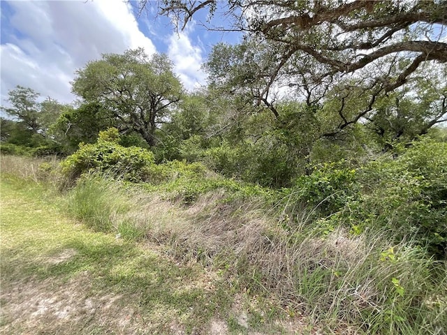 342 Whispering Woods Dr, Rockport, TX 78382 - photo 11