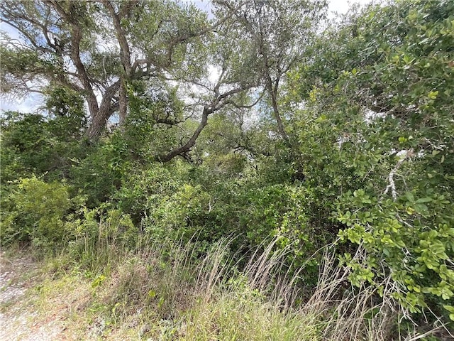 342 Whispering Woods Dr, Rockport, TX 78382 - photo 8