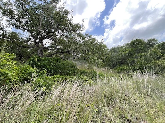 342 Whispering Woods Dr, Rockport, TX 78382 - photo 4