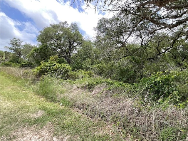 342 Whispering Woods Dr, Rockport, TX 78382 - photo 12