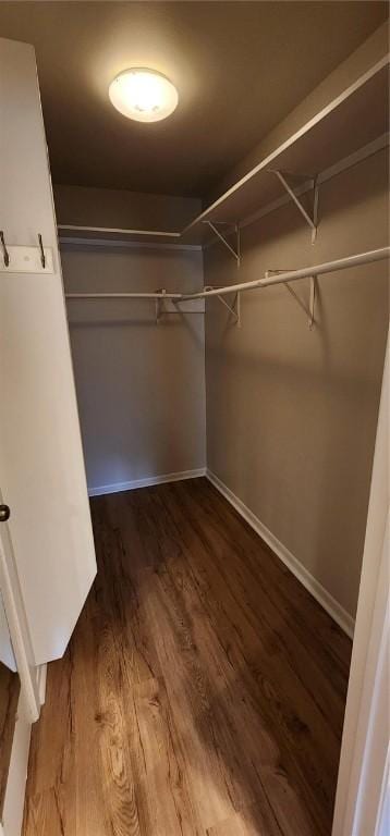 spacious closet with dark hardwood / wood-style floors