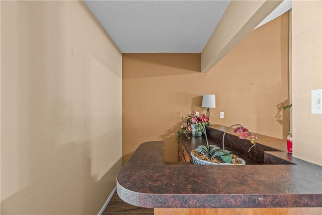 bathroom featuring wood finished floors