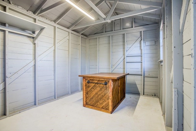 spacious closet with lofted ceiling