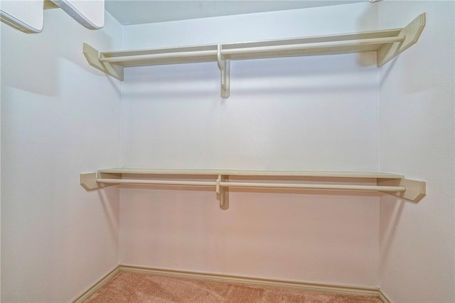14613 Powell Dr, Corpus Christi, TX 78410 - spacious closet featuring carpet