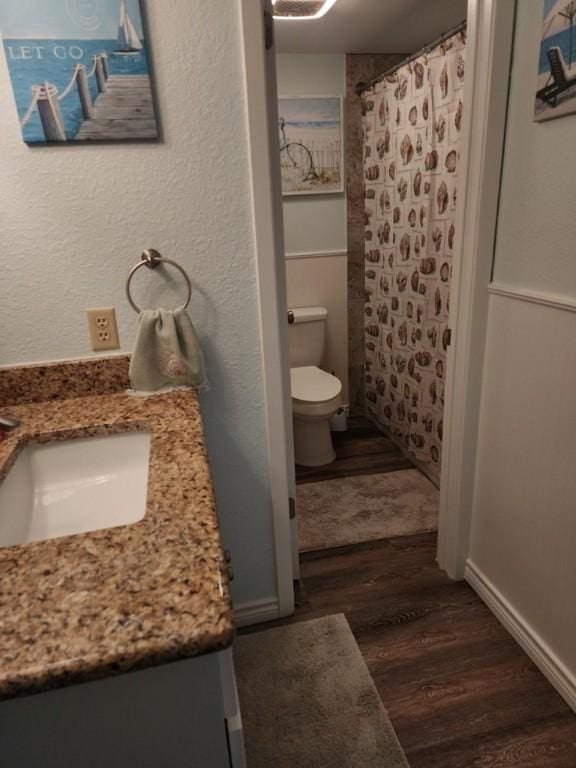 2292 N Fulton Beach Rd, Rockport, TX 78382 - bathroom with toilet, wood finished floors, vanity, and a shower with shower curtain