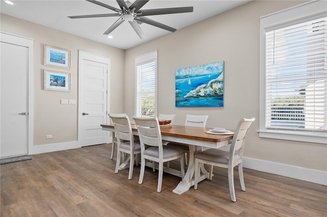 dining area featuring plenty of natural light, ceiling fan, and wood-type flooring