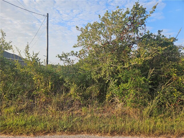 Listing photo 2 for 1147 W Young Ave, Aransas Pass TX 78336