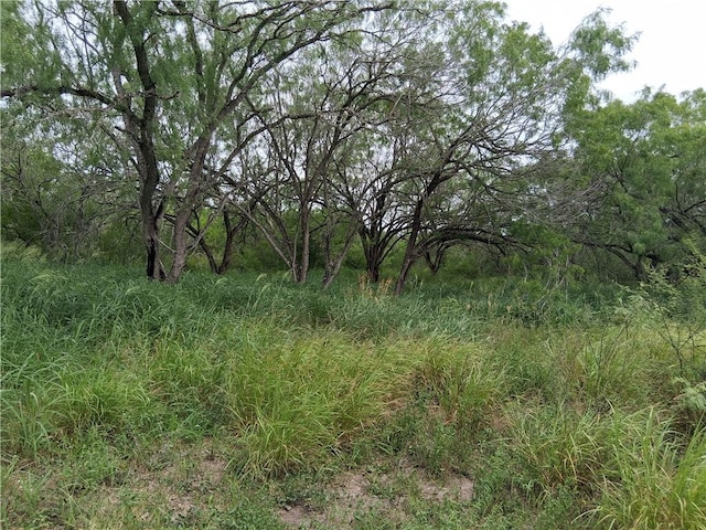 0 Lake Country Dr, Mathis, TX 78368 - photo 2